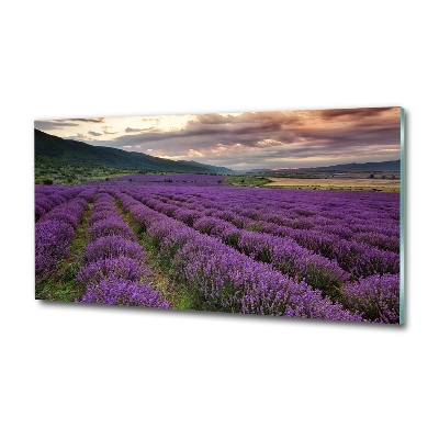Quadro vetro Campo di lavanda