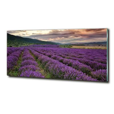Quadro vetro Campo di lavanda