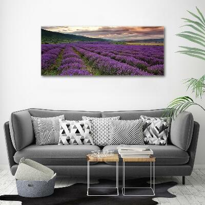 Quadro vetro Campo di lavanda