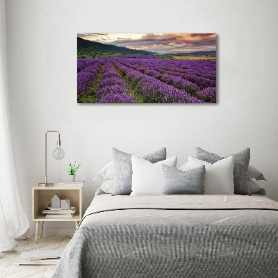 Quadro vetro Campo di lavanda