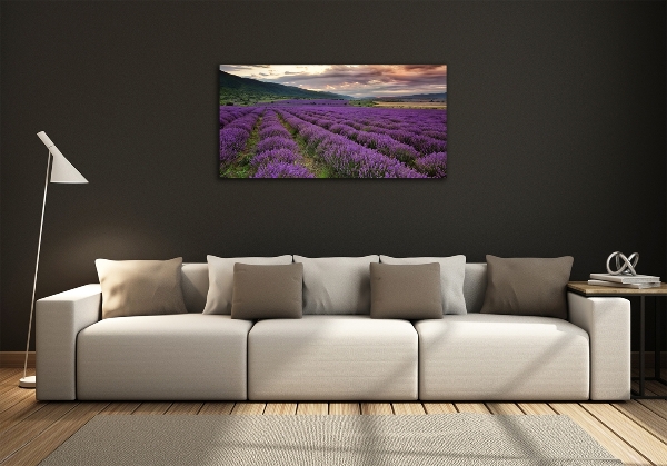 Quadro vetro Campo di lavanda