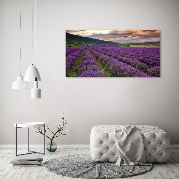 Quadro vetro Campo di lavanda