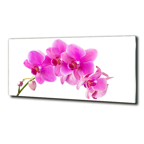 Quadro in verde Orchidea rosa