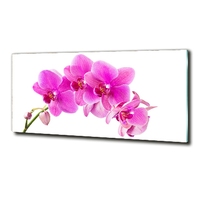 Quadro in verde Orchidea rosa