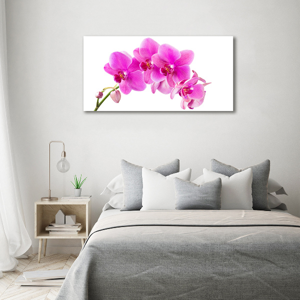 Quadro in verde Orchidea rosa