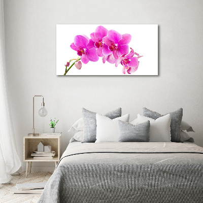 Quadro in verde Orchidea rosa