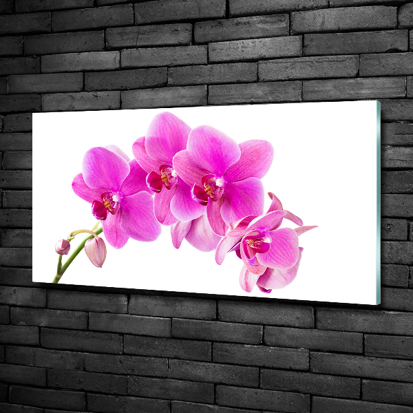 Quadro in verde Orchidea rosa
