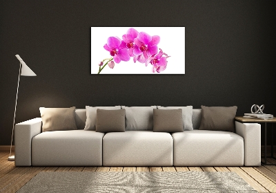 Quadro in verde Orchidea rosa