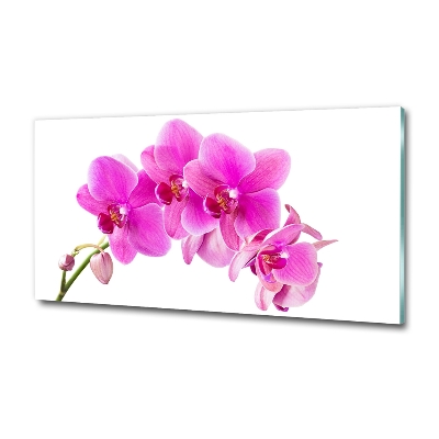 Quadro in verde Orchidea rosa