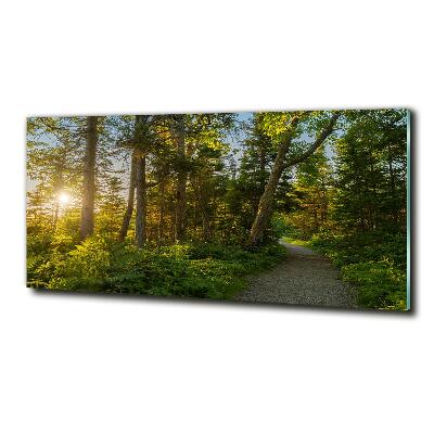 Quadro su vetro Foresta