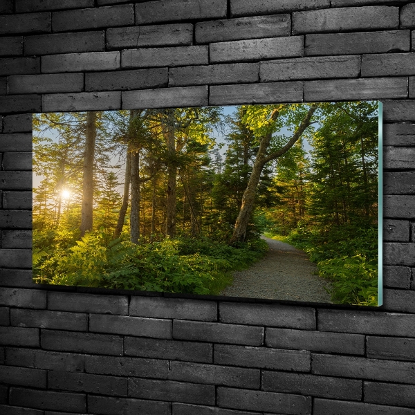 Quadro su vetro Foresta