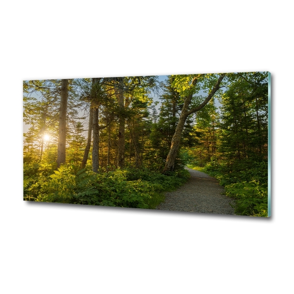 Quadro su vetro Foresta
