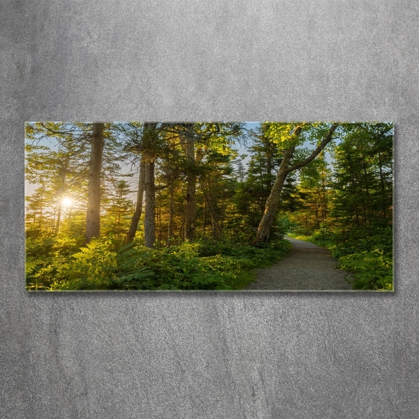 Quadro su vetro Foresta