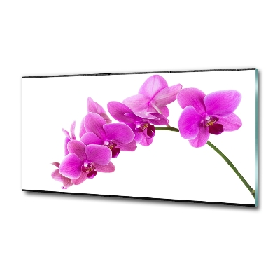 Quadro su vetro Orchidea rosa