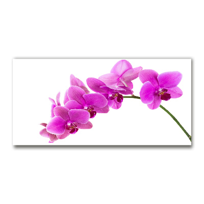 Quadro su vetro Orchidea rosa