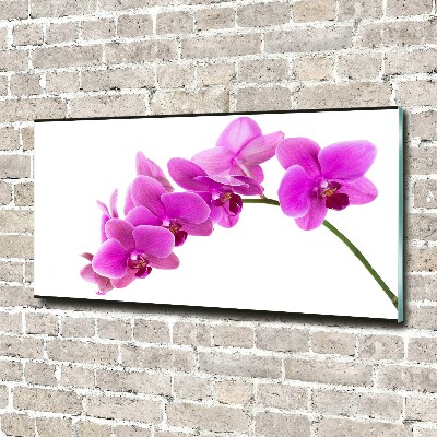 Quadro su vetro Orchidea rosa