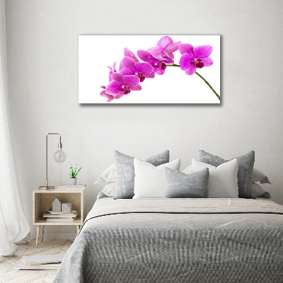 Quadro su vetro Orchidea rosa