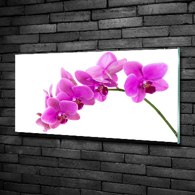 Quadro su vetro Orchidea rosa