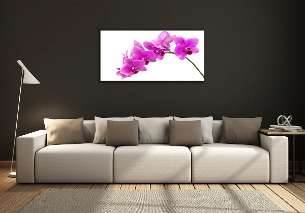 Quadro su vetro Orchidea rosa