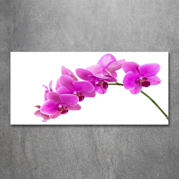 Quadro su vetro Orchidea rosa