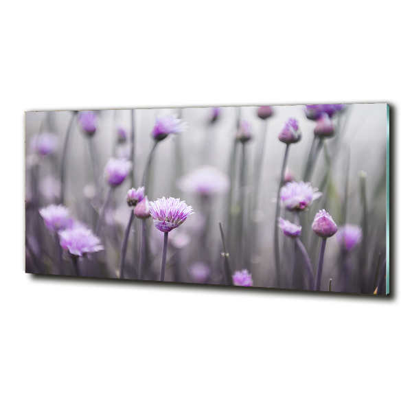 Quadro vetro Fiori di erba cipollina