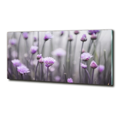 Quadro vetro Fiori di erba cipollina