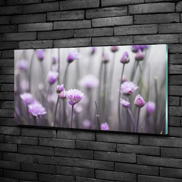 Quadro vetro Fiori di erba cipollina