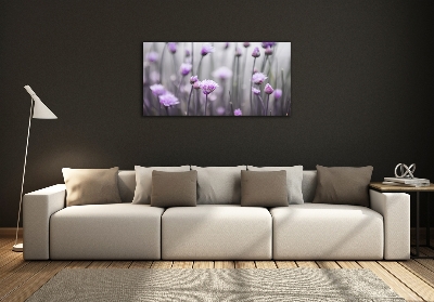 Quadro vetro Fiori di erba cipollina