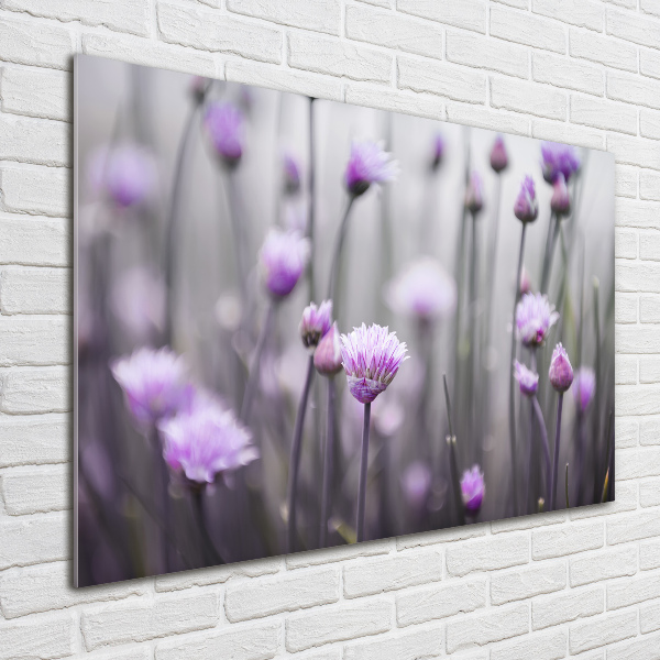 Quadro vetro Fiori di erba cipollina