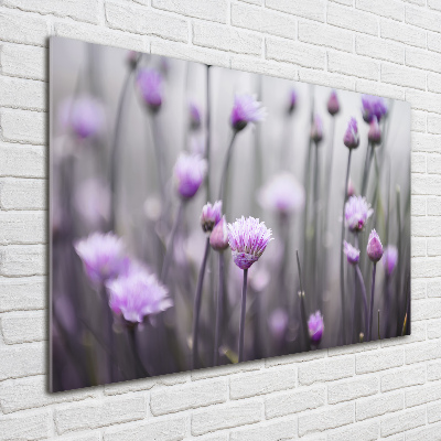 Quadro vetro Fiori di erba cipollina