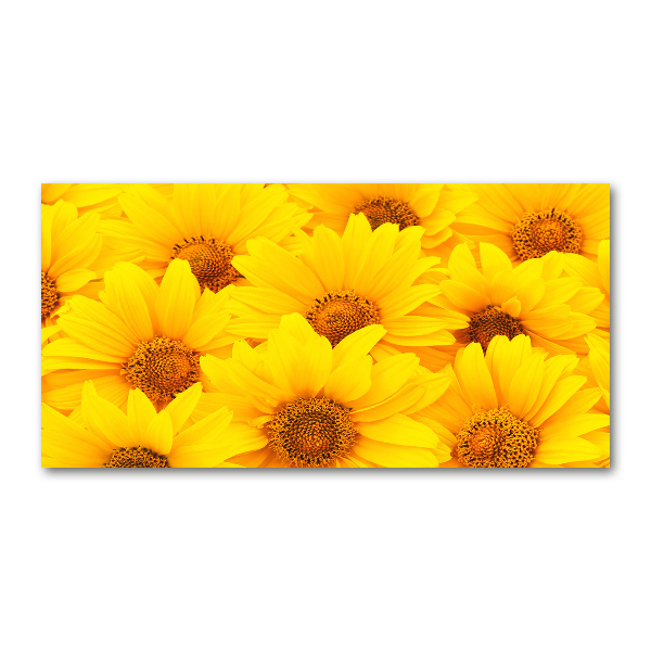 Quadro in vetro Girasoli