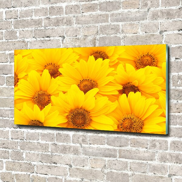 Quadro in vetro Girasoli