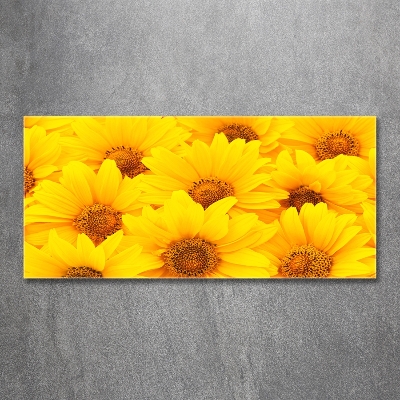 Quadro in vetro Girasoli
