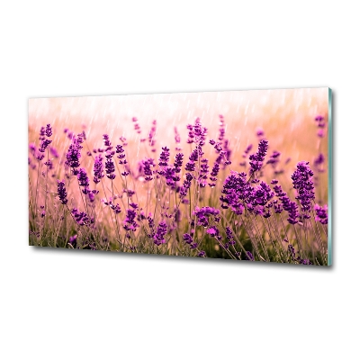 Quadro in verde Lavanda