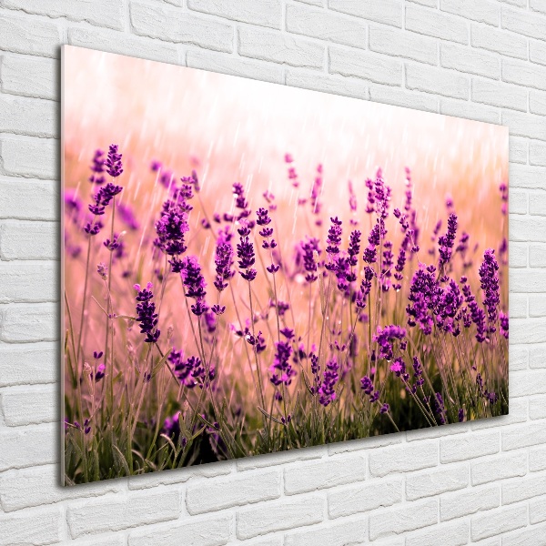 Quadro in verde Lavanda