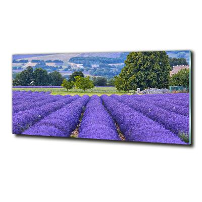 Quadro su vetro Campo di lavanda