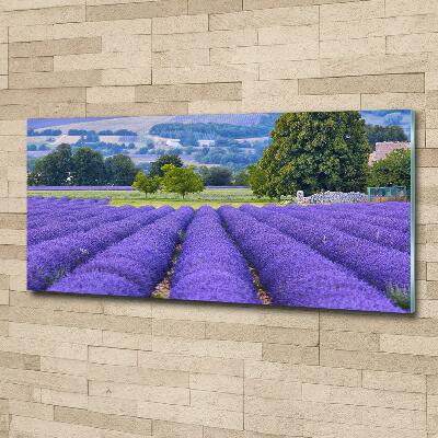 Quadro su vetro Campo di lavanda