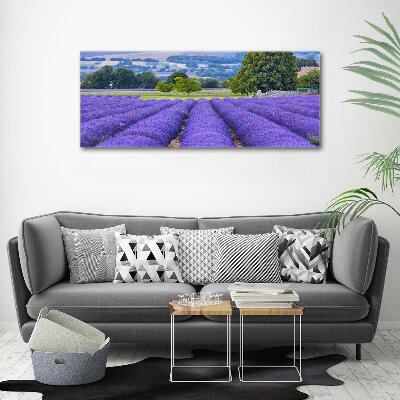 Quadro su vetro Campo di lavanda