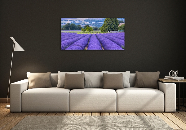 Quadro su vetro Campo di lavanda