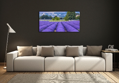 Quadro su vetro Campo di lavanda