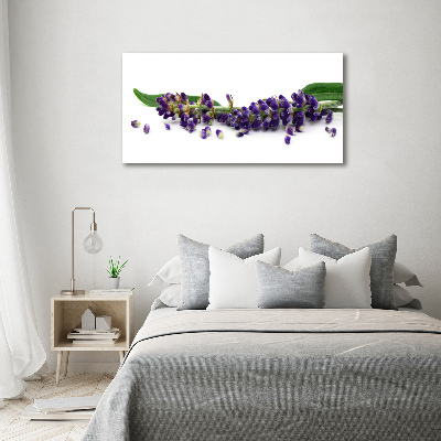 Quadro vetro Lavanda