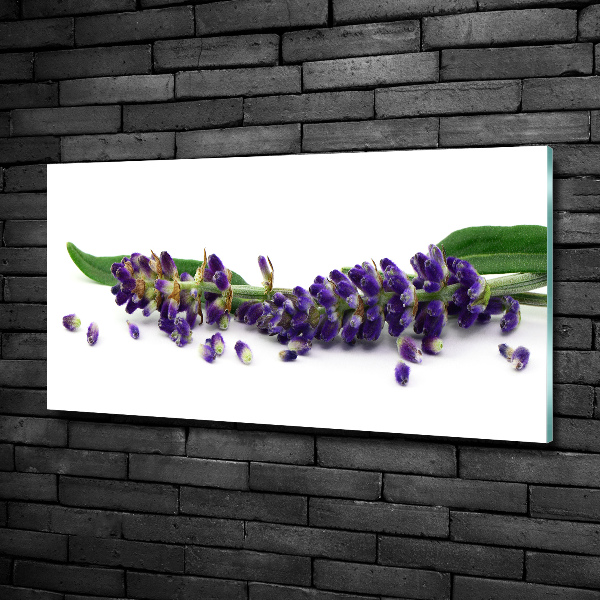 Quadro vetro Lavanda