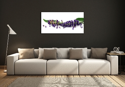 Quadro vetro Lavanda