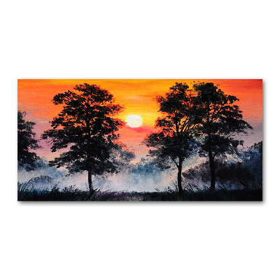 Quadro vetro Foresta del tramonto