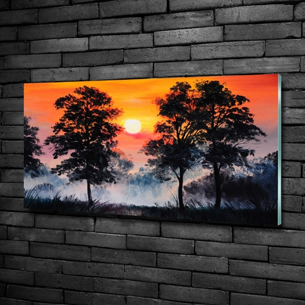 Quadro vetro Foresta del tramonto