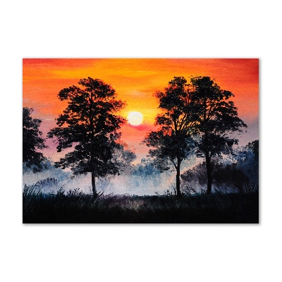Quadro vetro Foresta del tramonto