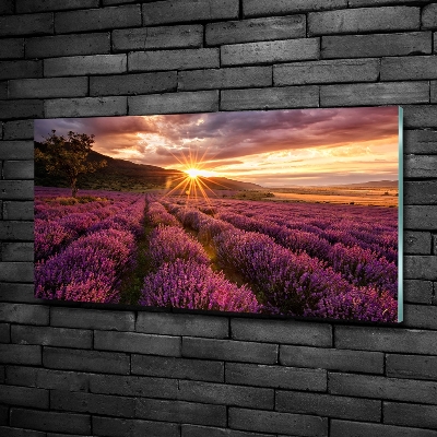 Quadro in verde Campo di lavanda