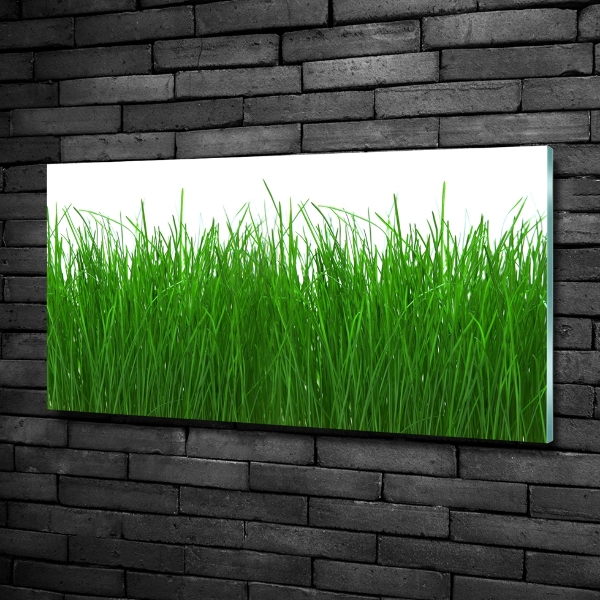 Quadro in verde Erba