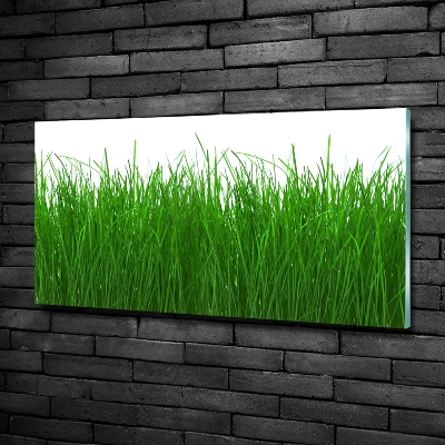 Quadro in verde Erba