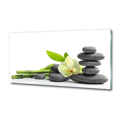 Quadro in vetro Orchidea